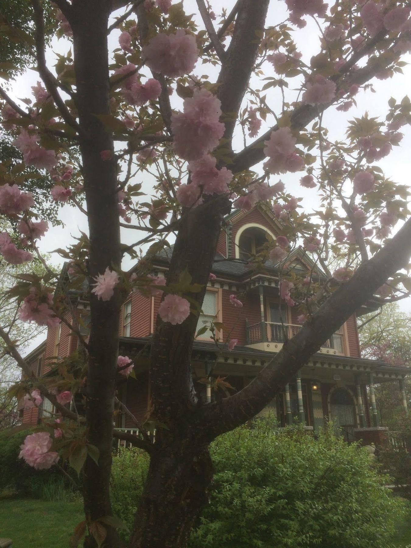 Grand Avenue Bed And Breakfast 迦太基 外观 照片
